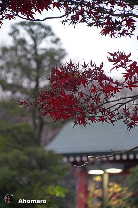 写真00