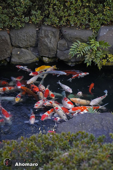 写真00