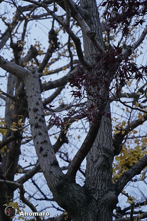写真00