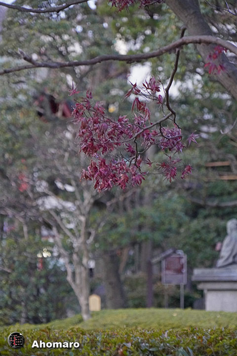 写真00