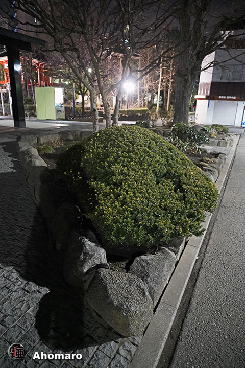 写真00