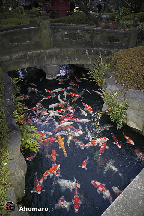 写真00
