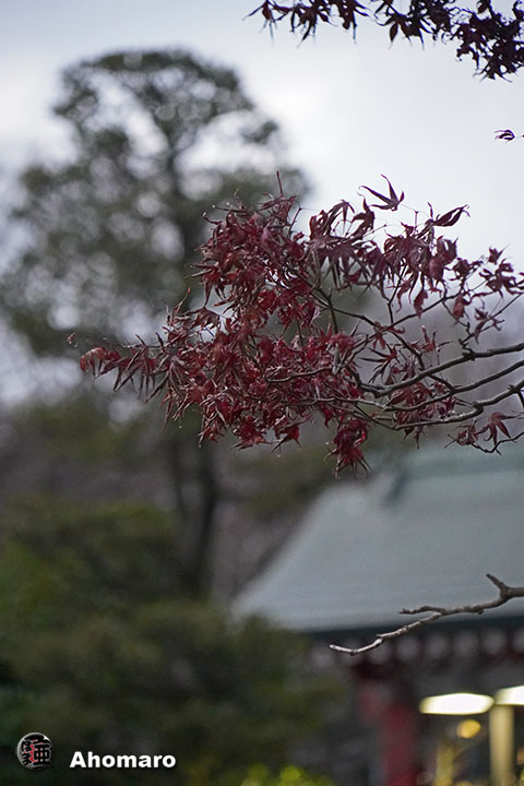 写真00