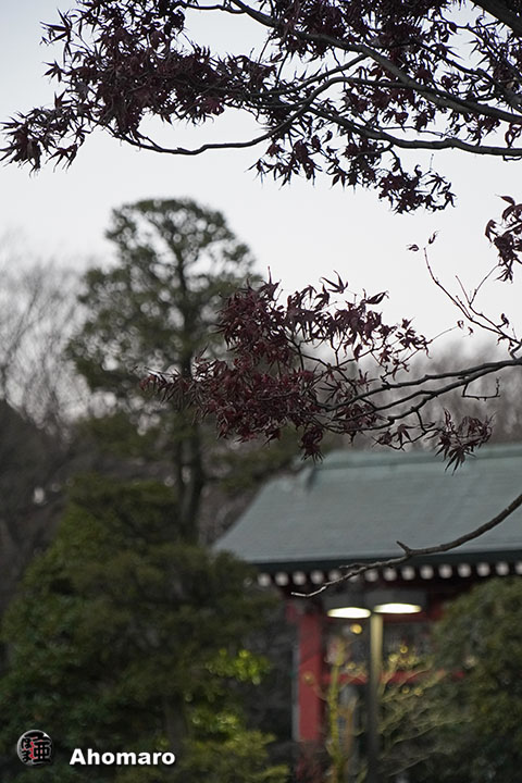 写真00