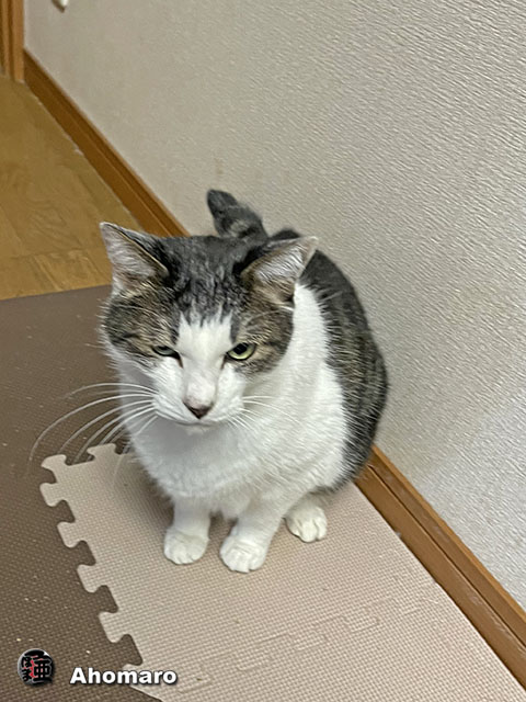 写真00