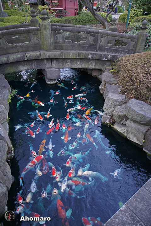 写真00