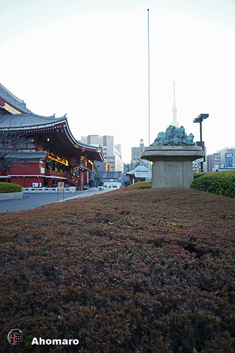 写真00