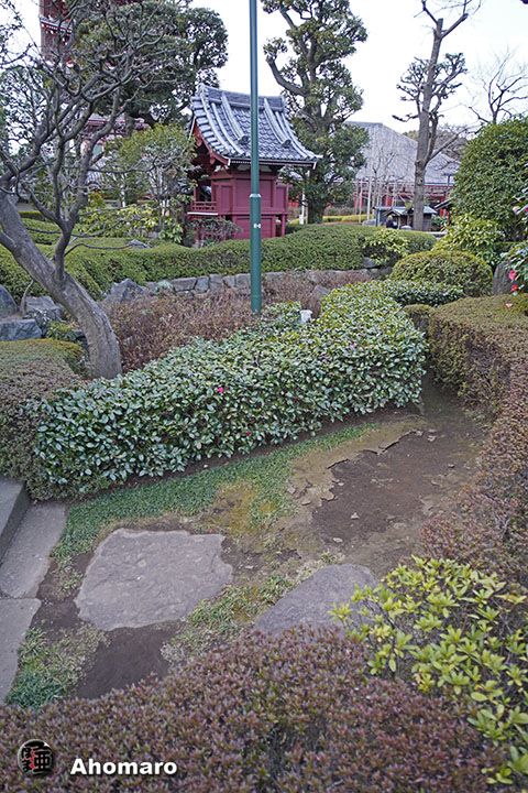 写真00