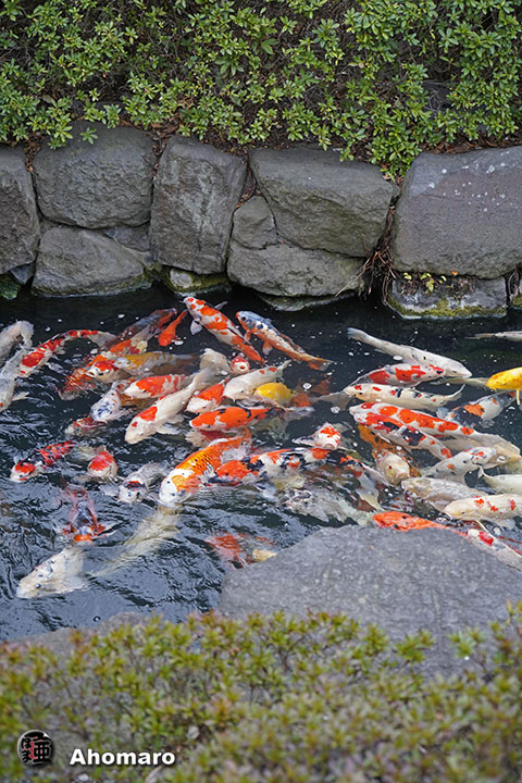 写真00