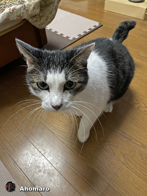 写真00
