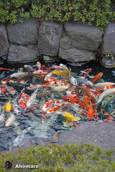 写真00