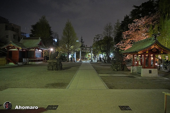 写真00