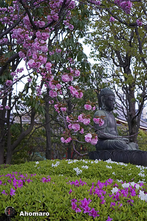 写真00