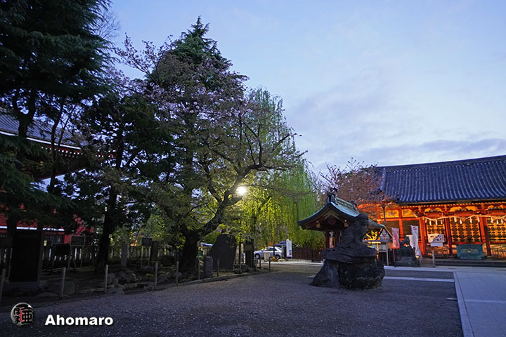 写真00