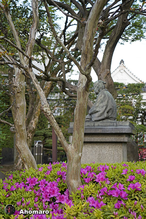 写真00