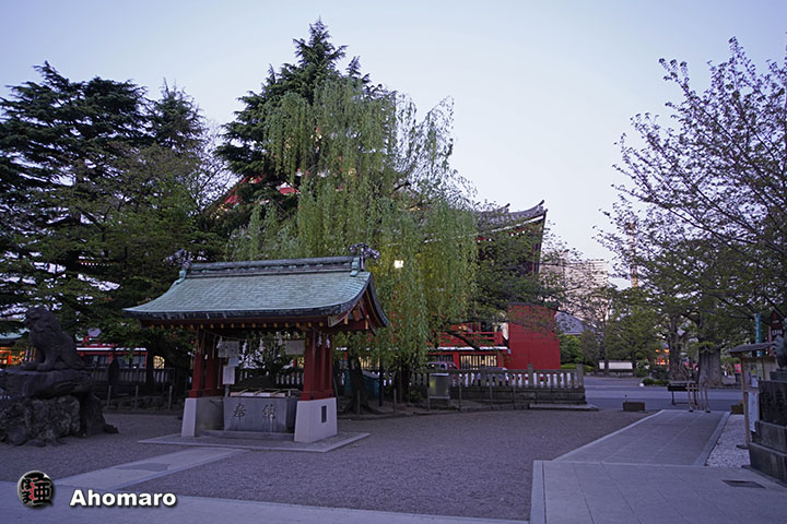 写真00
