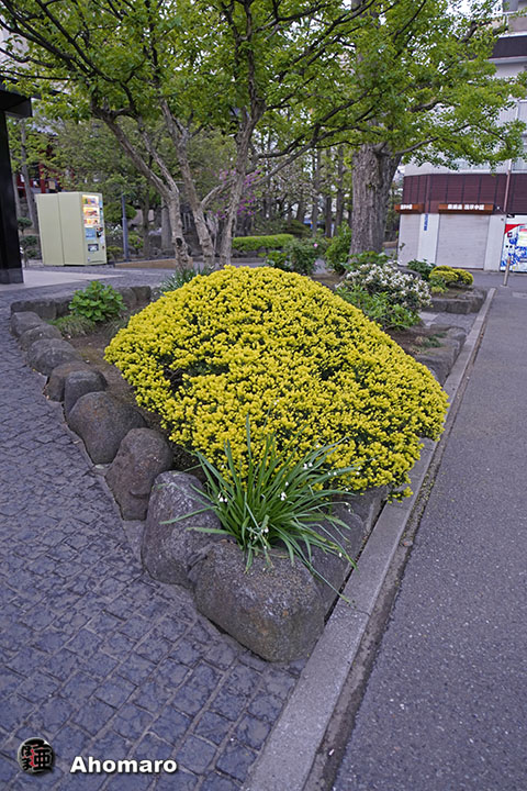写真00
