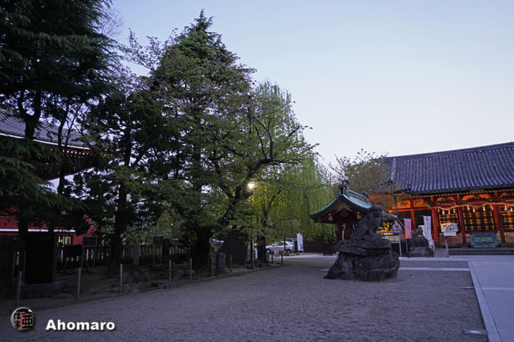 写真00