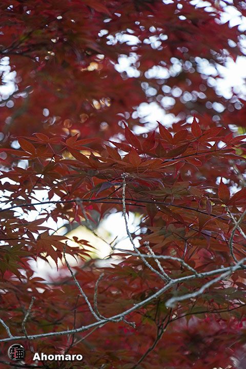 写真00