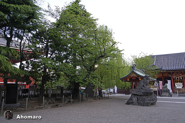 写真00