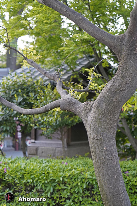 写真00