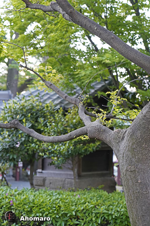 写真00