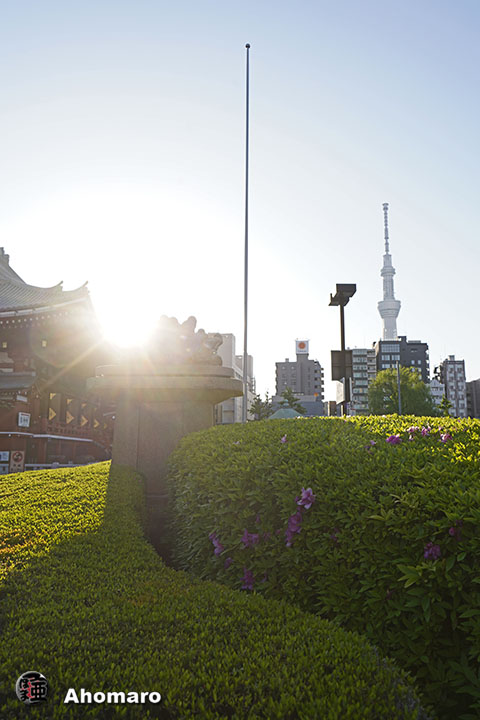 写真00