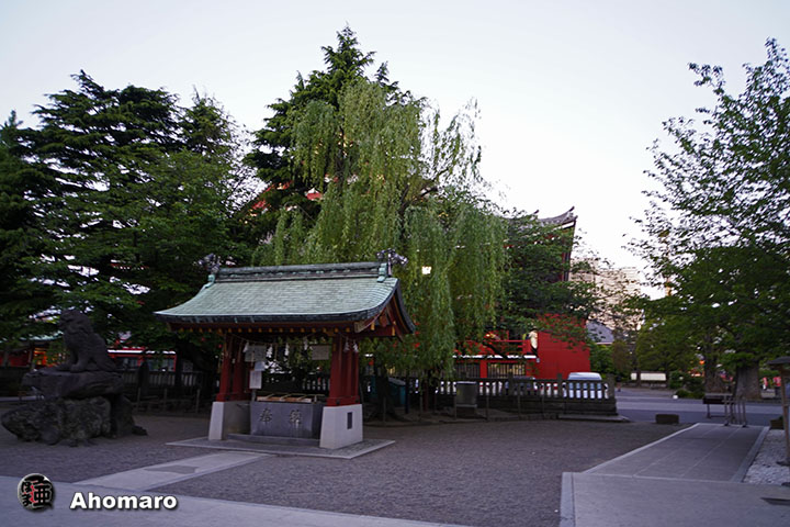 写真00