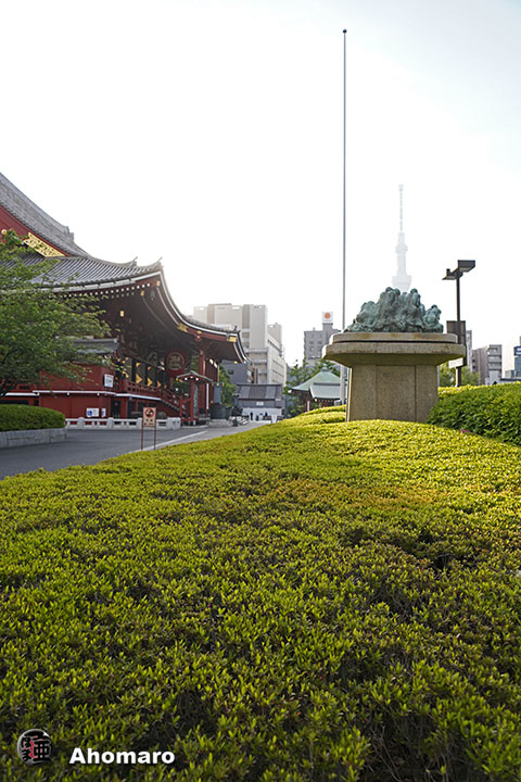 写真00