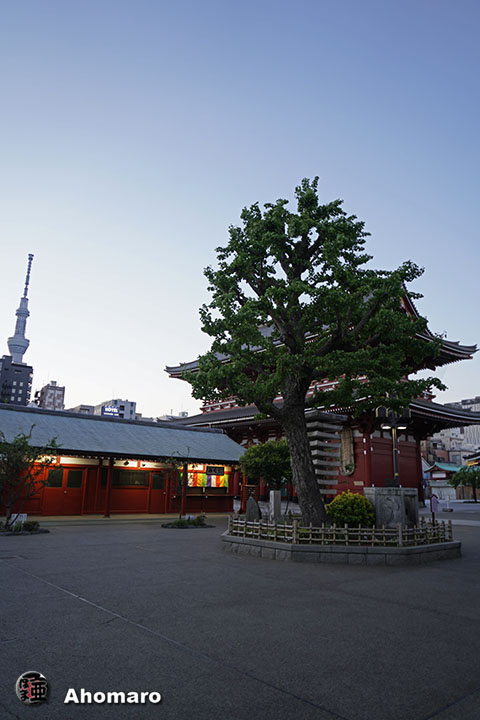 写真00
