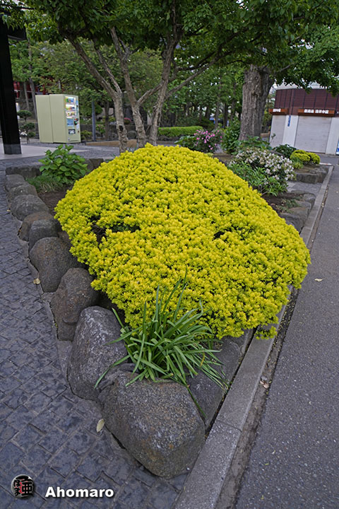 ʐ^00