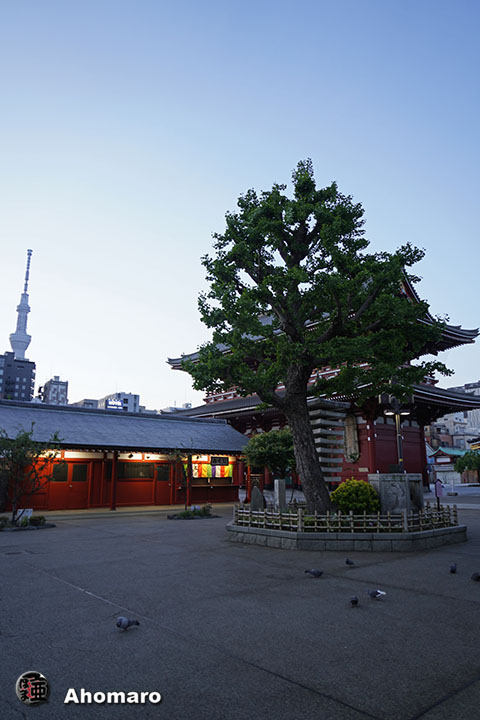 写真00