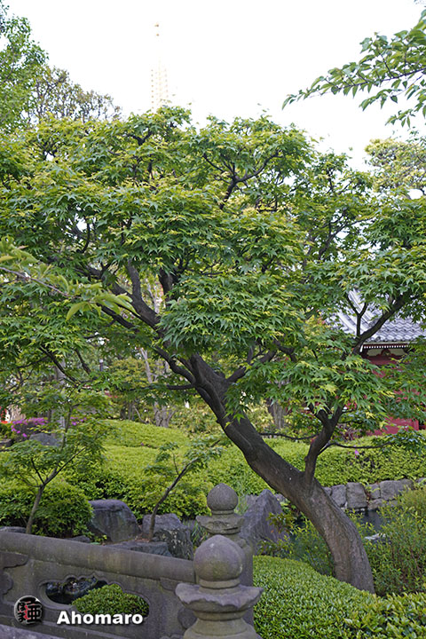 写真00