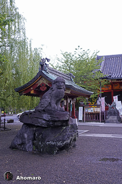 写真00