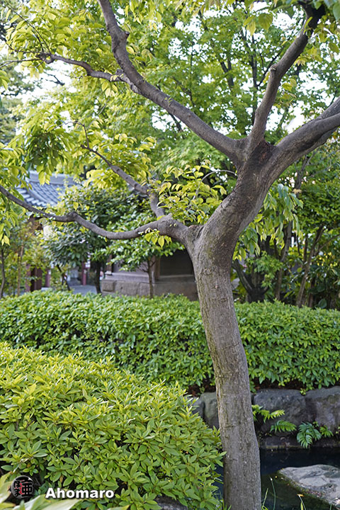 写真00
