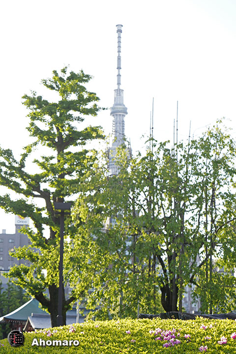写真00
