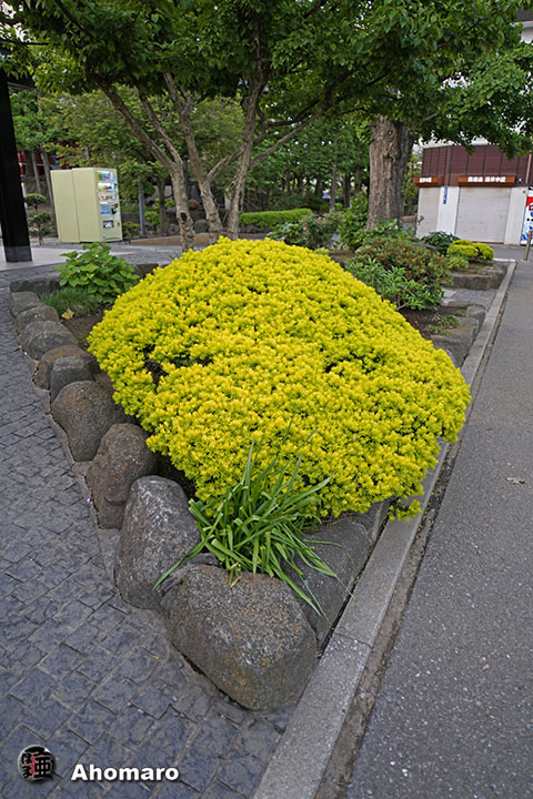 写真00