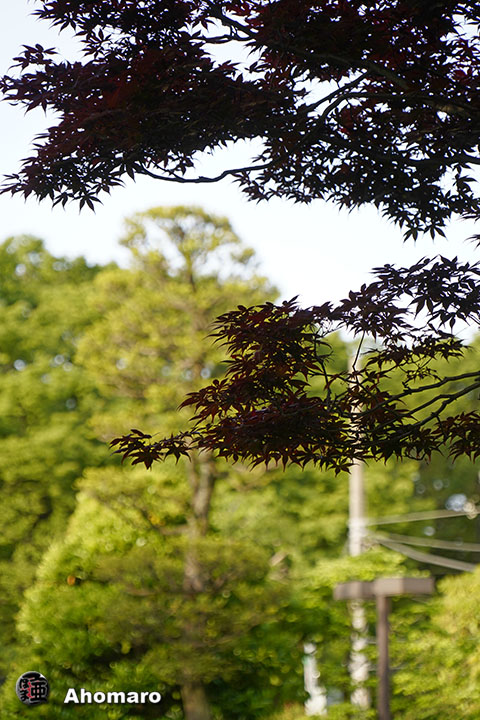 写真00