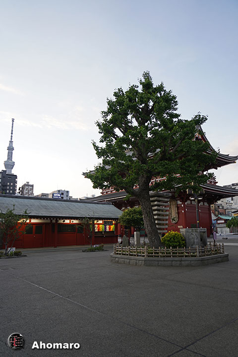 写真00