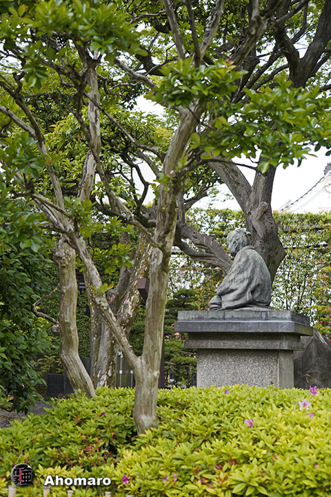 写真00