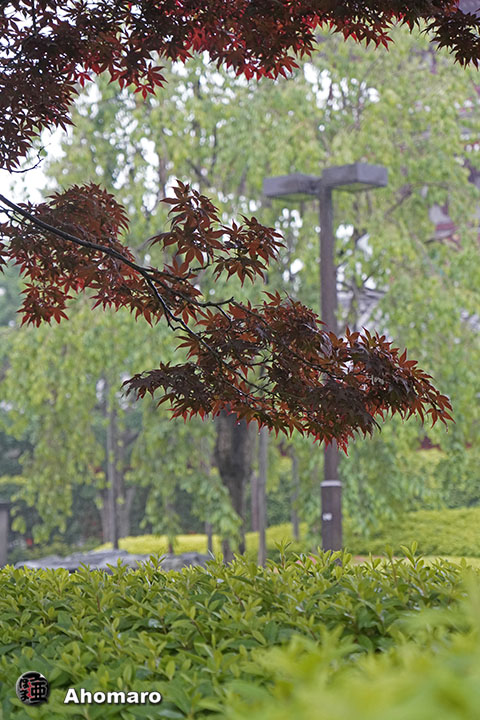 写真00