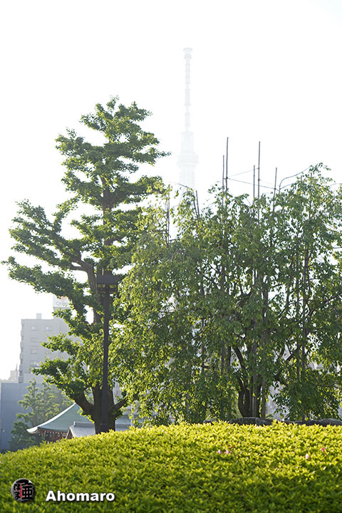 写真00