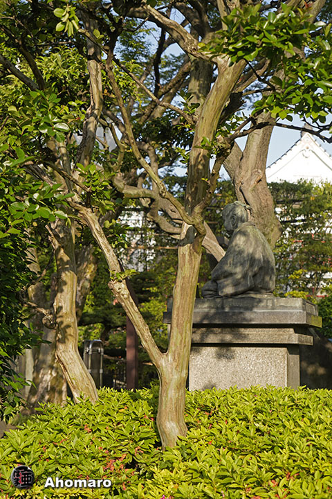 写真00