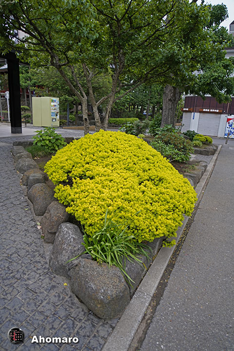 写真00