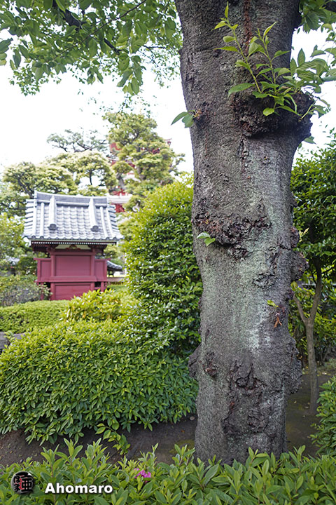 写真00