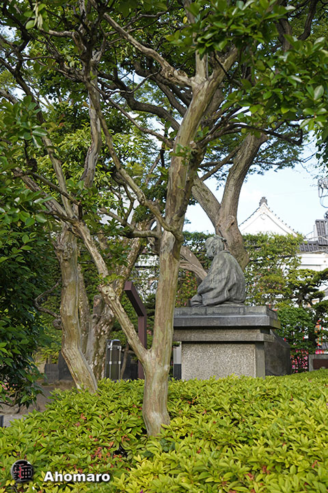 写真00