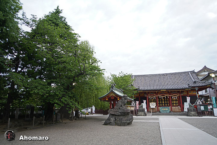 写真00