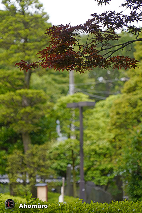 写真00