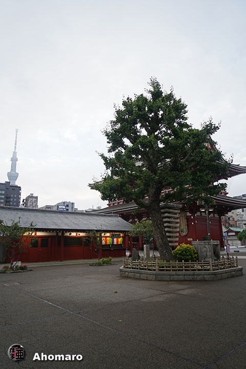 写真00