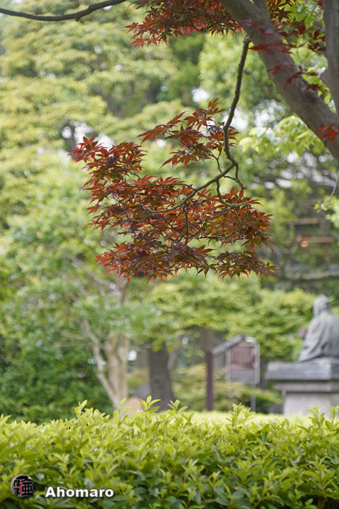 写真00